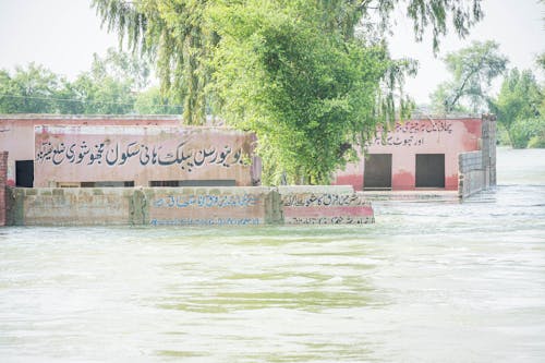 Foto profissional grátis de inundações no paquistão em 2022
