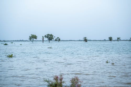 2022年巴基斯坦洪水 的 免费素材图片