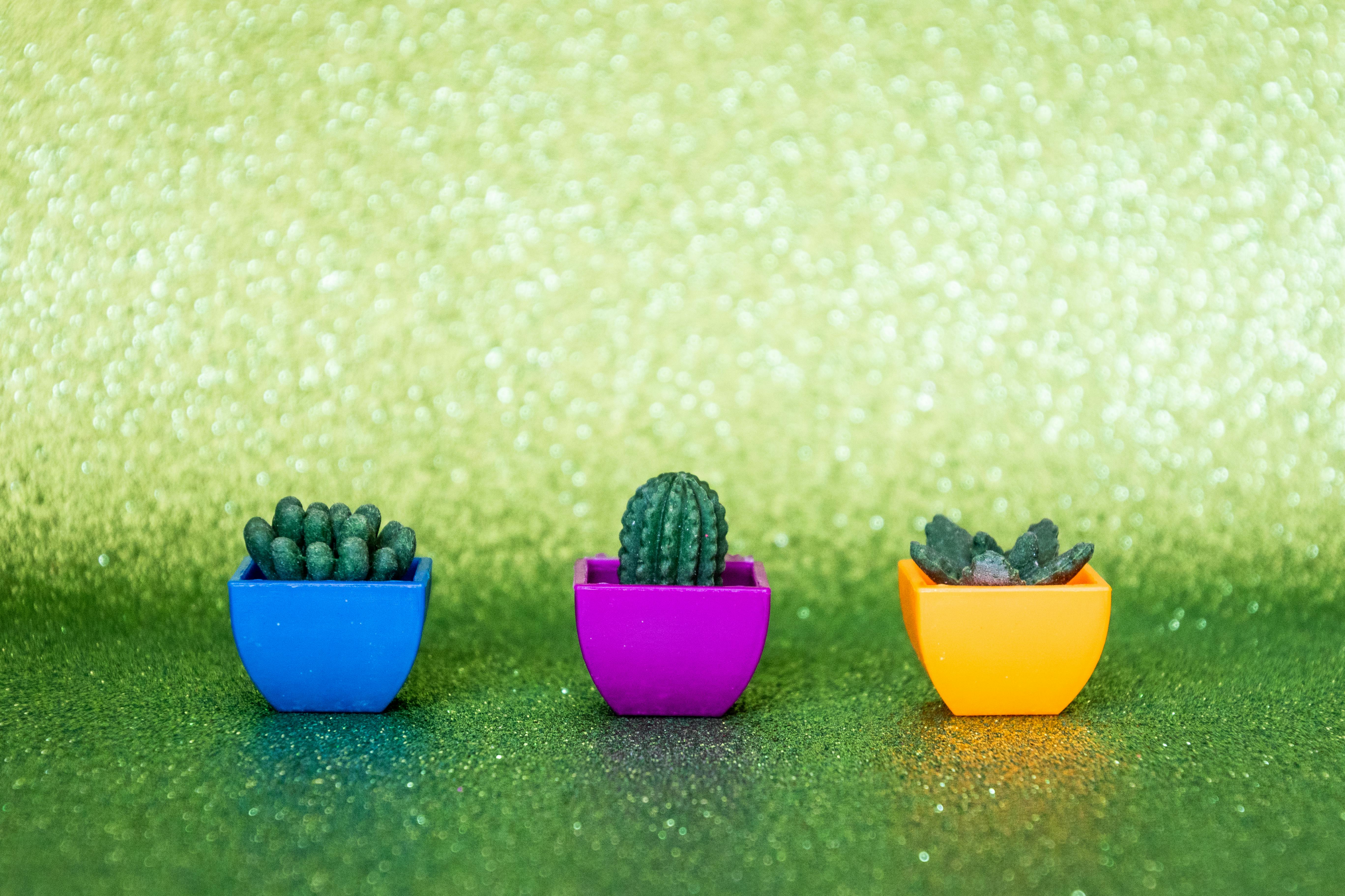 Plastic planters colors