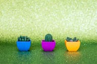 在闪闪发光的绿色背景映衬下，色彩缤纷的花盆中充满活力的迷你仙人掌展示，凸显了创造力和色彩对比