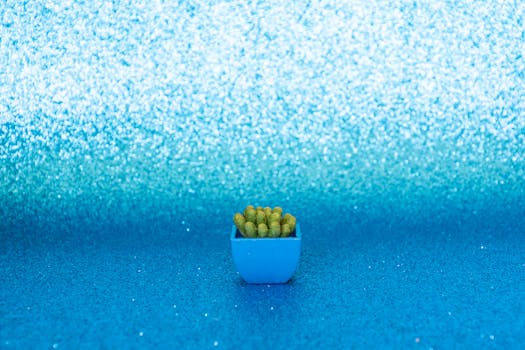 蓝色背景闪闪发光，映衬着花盆里的小仙人掌，营造出充满活力的视觉效果