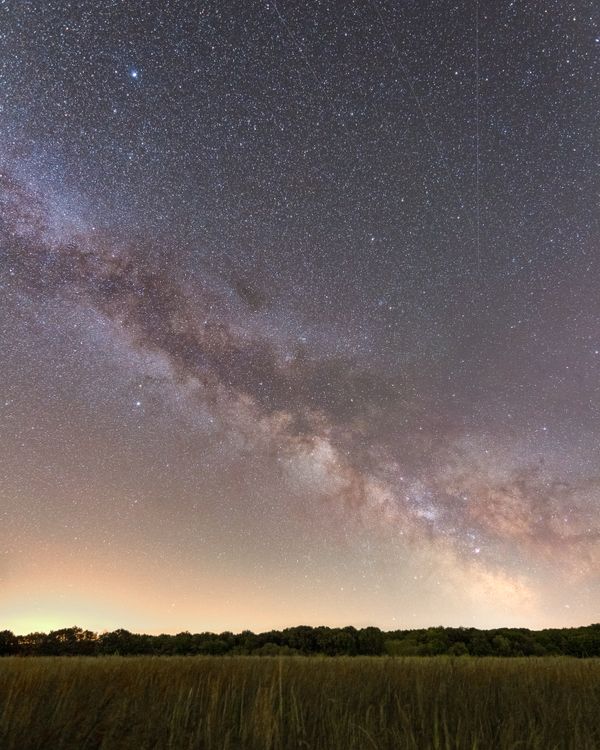 Starry Sky over a Grass Field · Free Stock Photo