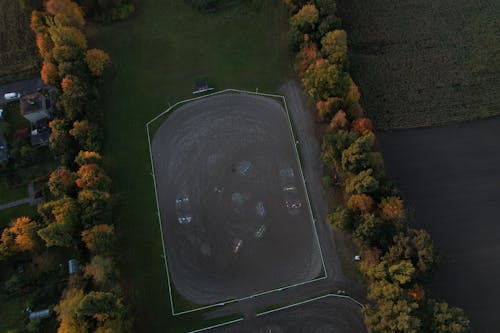 Aerial View of Green Trees on the Field