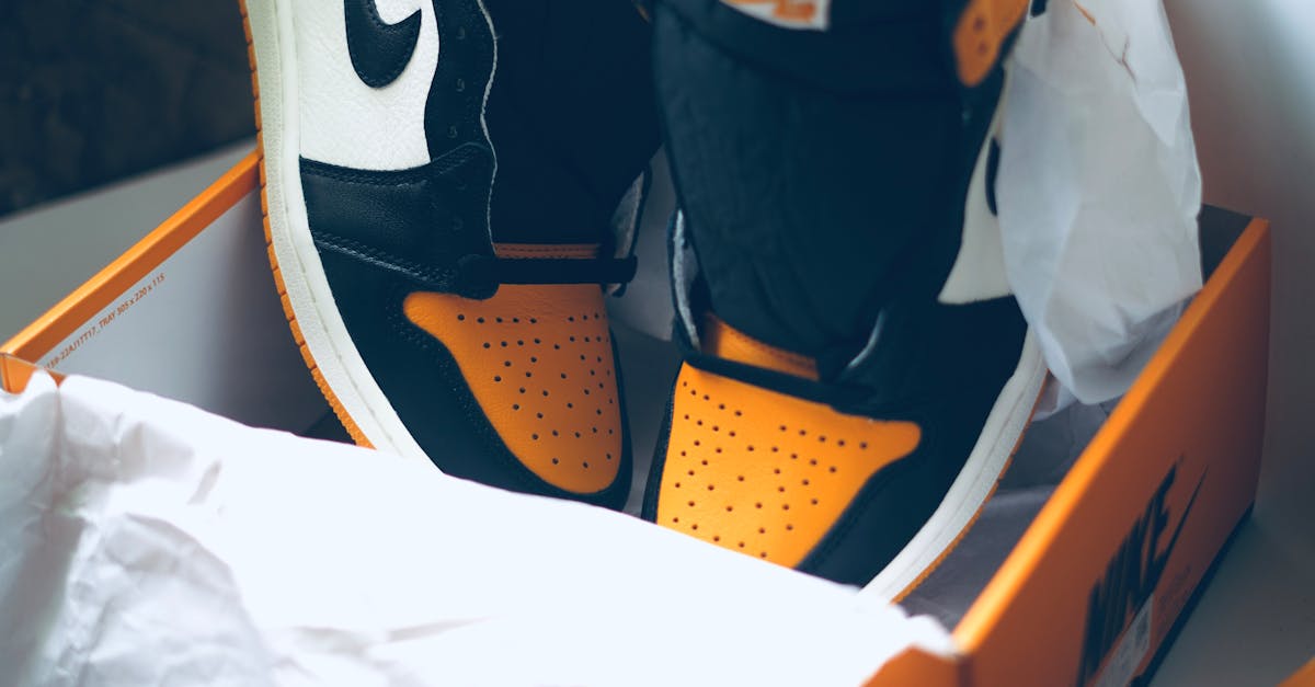 A Pair of Sneakers in a Box · Free Stock Photo