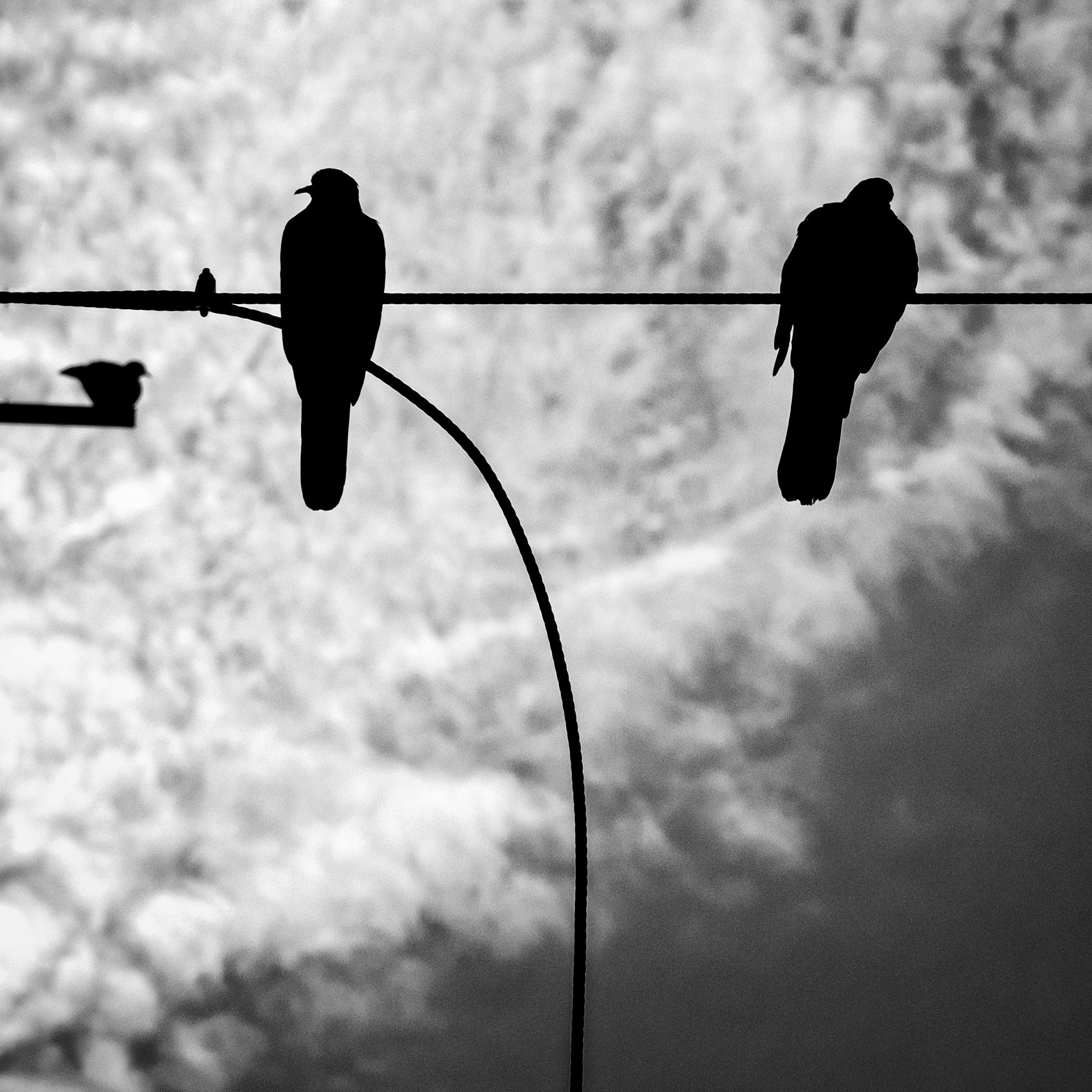 Khas 6 Photos & Videos Collected by Pexels User