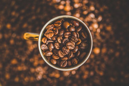 Free Mug of Coffee Beans Stock Photo