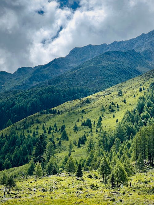 Green Mountains Under White Clouds