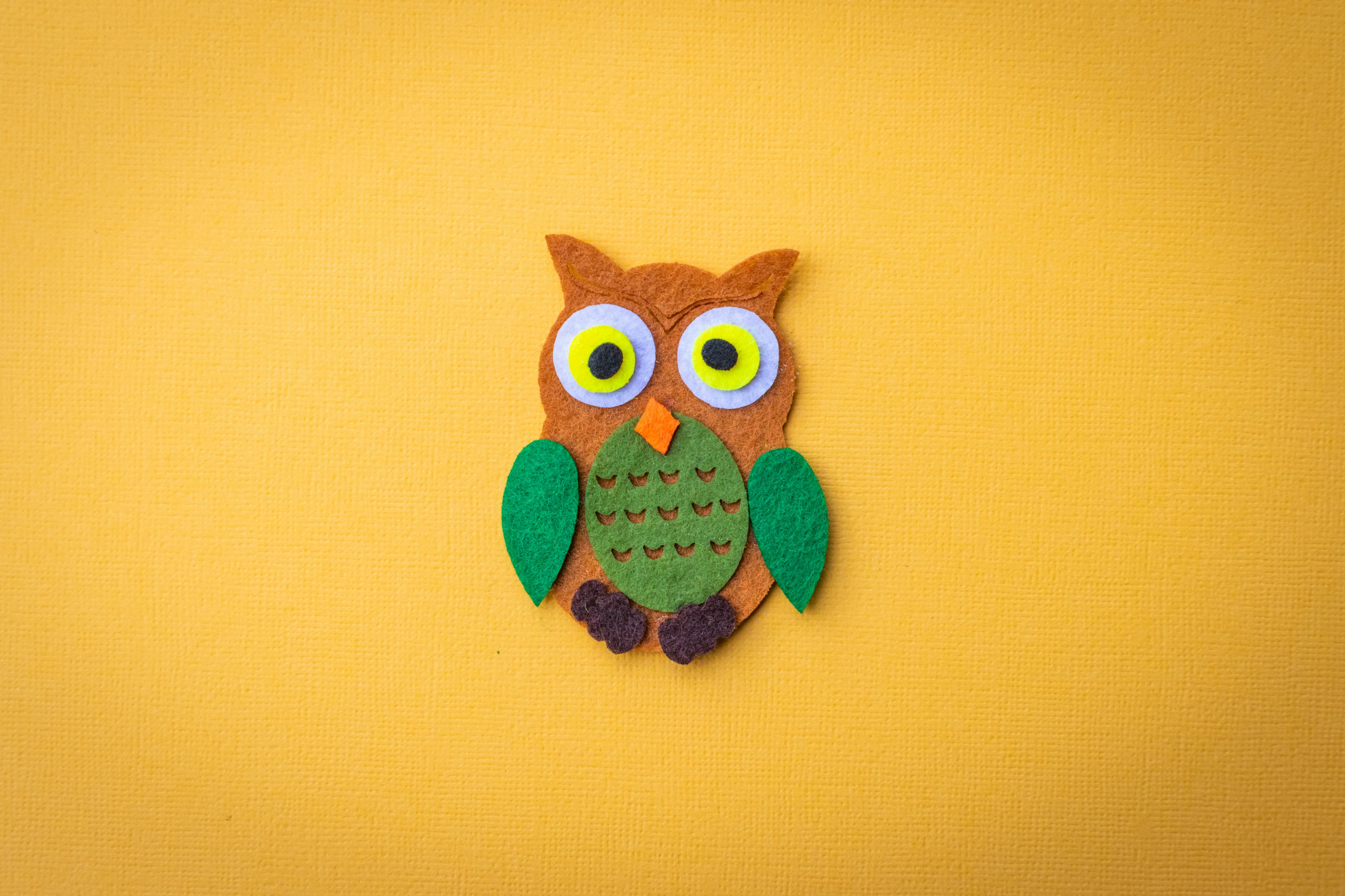 Foto Stok Gratis Tentang Burung Burung Hantu Cute