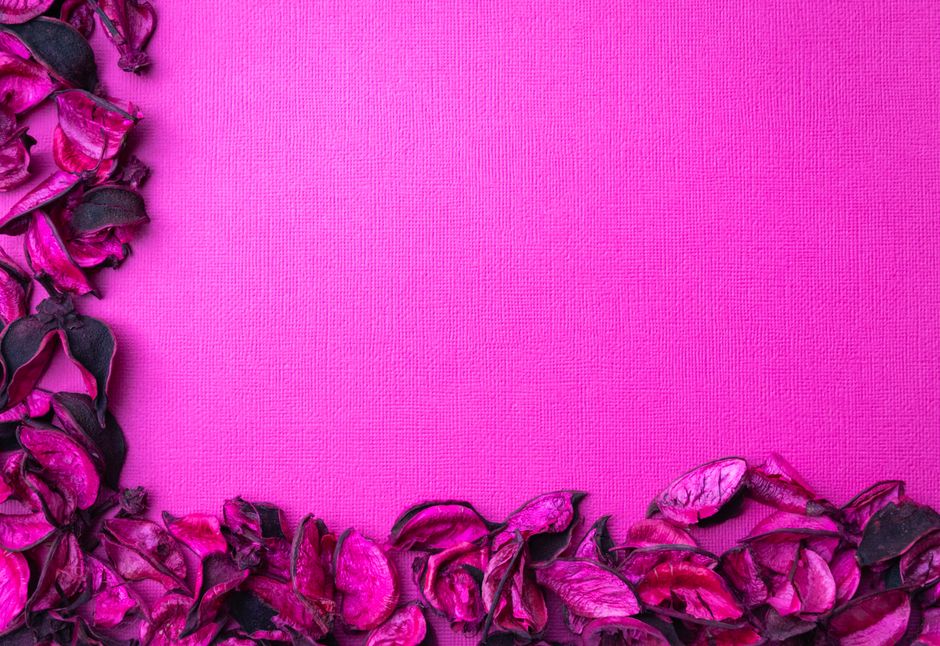 Elegant pink background with scattered dried floral petals, perfect for design or web use.