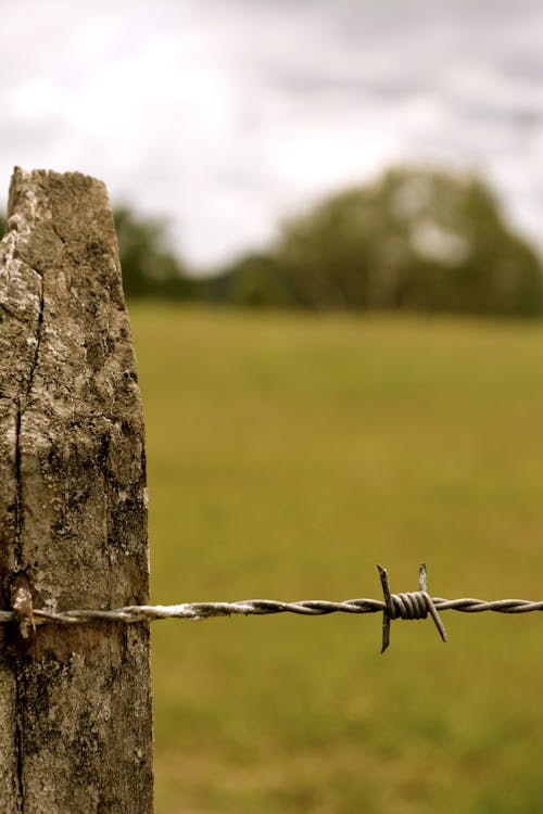 A Gray Barbwire Fence on Green Filed