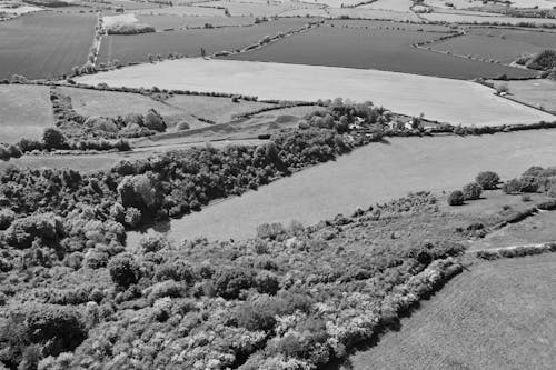 Gratis stockfoto met agrarisch, akkerland, dronefoto