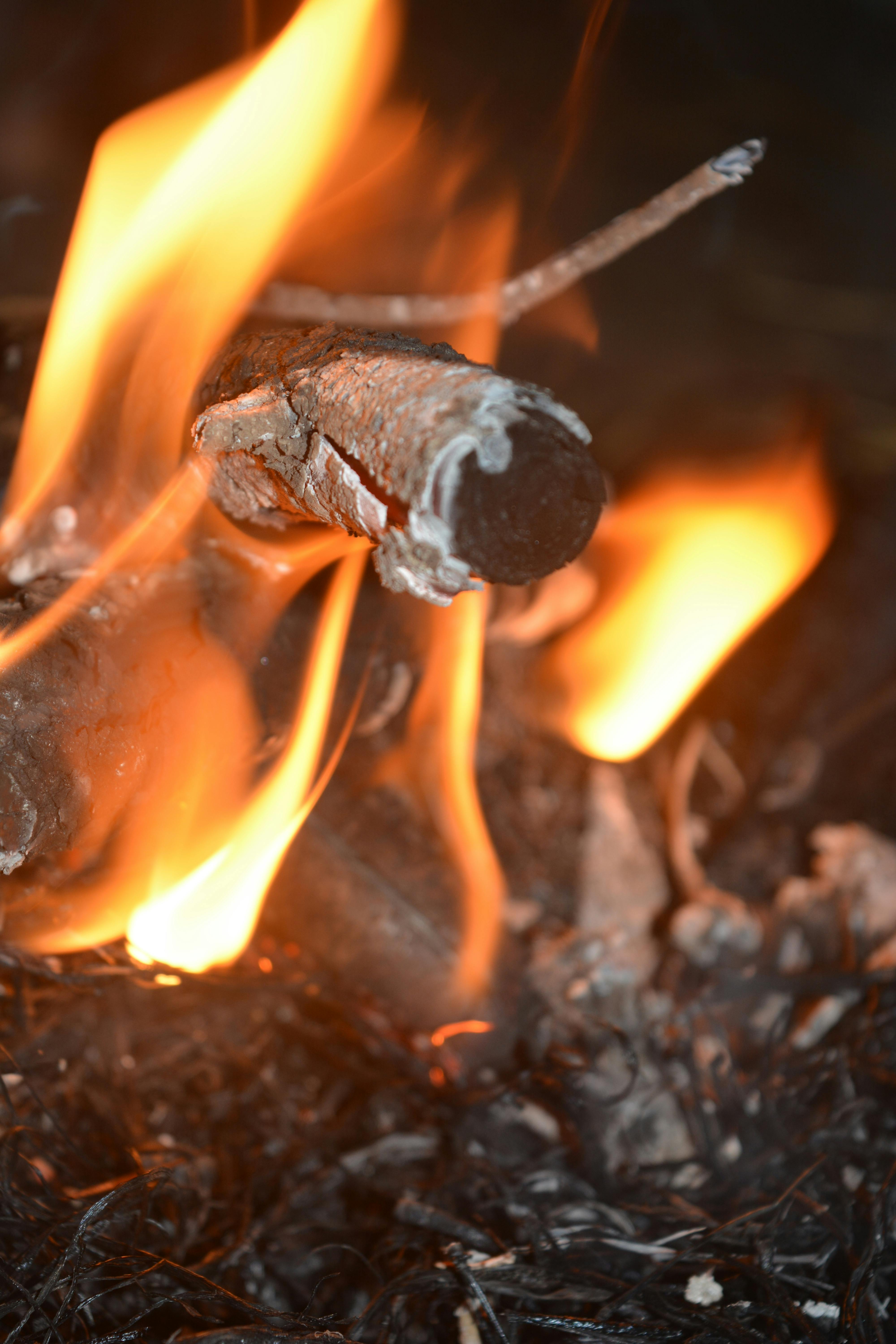 Free stock photo of fire, wood fire
