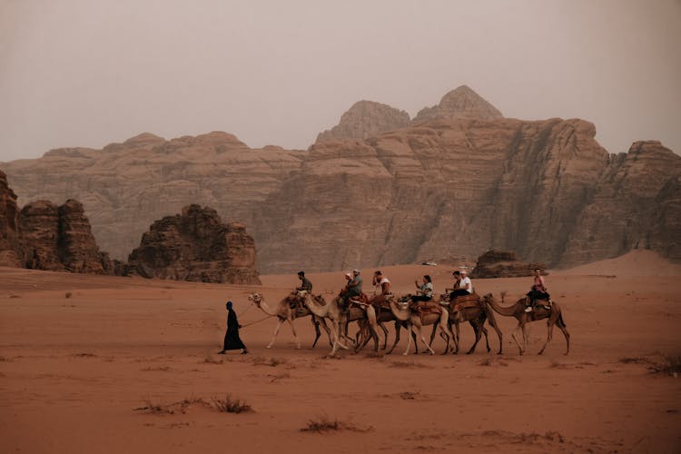 People Riding Camels In Wadi Rum Valley, Jordan 