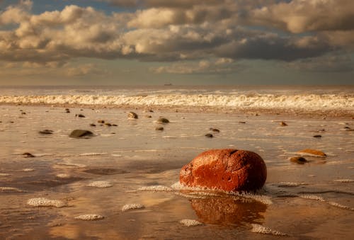 Brown Rock on Seashore Under Cloudy Sky