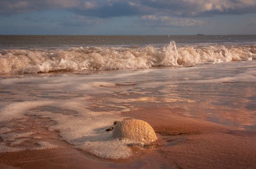 bezplatná Základová fotografie zdarma na téma kámen, mávání, moře Základová fotografie