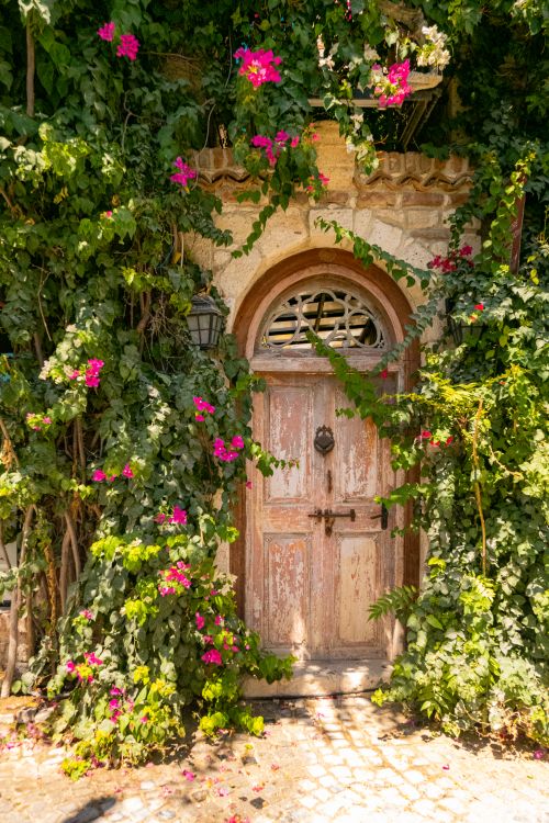 Free An enchanting old wooden door surrounded by vibrant ivy and flowers, evoking a fairytale atmosphere. Stock Photo