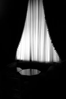 Artistic black and white photo of a classic interior with elegant curtains.