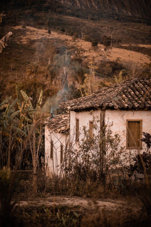 Free A rustic country house surrounded by lush nature with a warm, earthy ambiance. Stock Photo