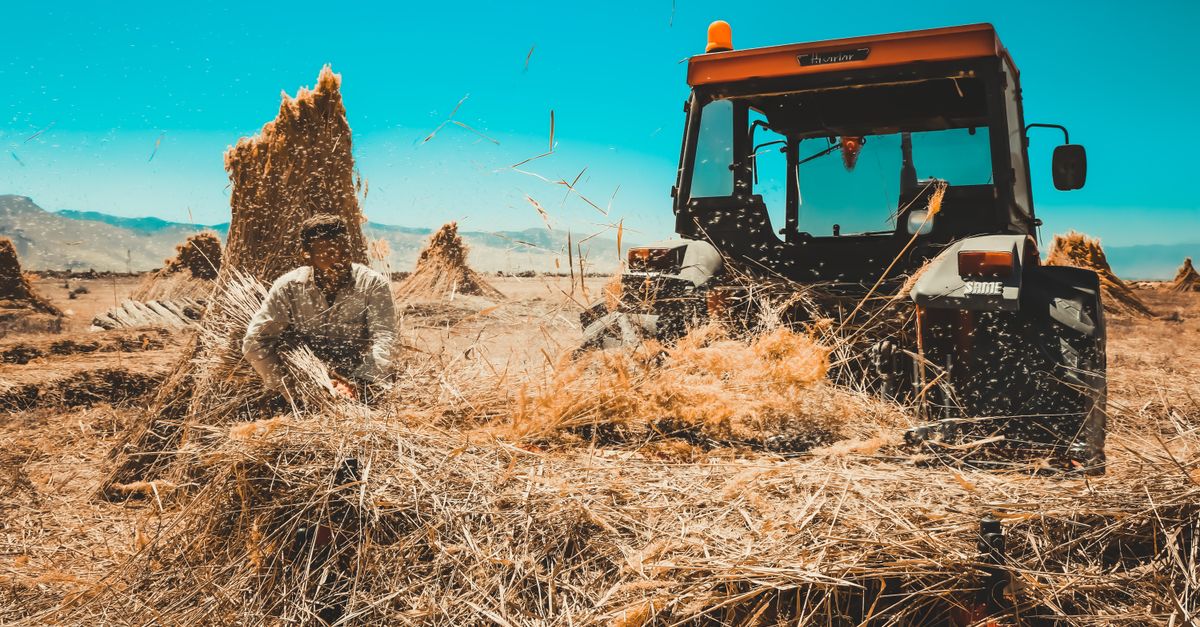 Les erreurs à éviter lors de l'achat de pièces agricoles