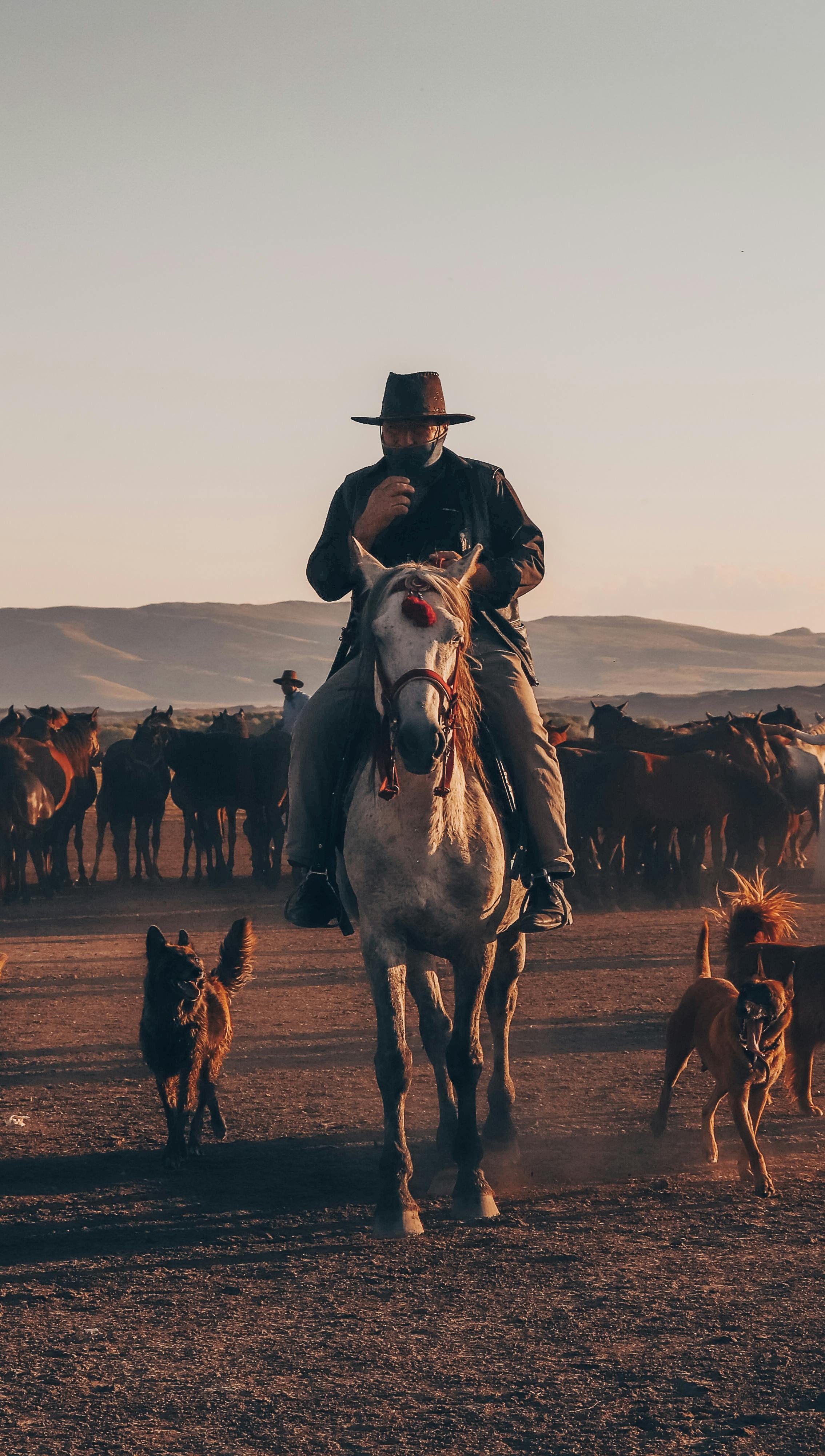 12 Western Cowboys iPhone Wallpapers - Wallpaperboat