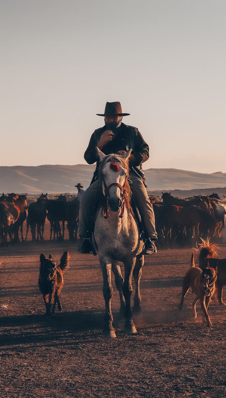 Man In A Cowboy Hat Horseback Riding 