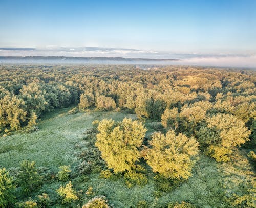 Бесплатное стоковое фото с Аэрофотосъемка, голубое небо, лес