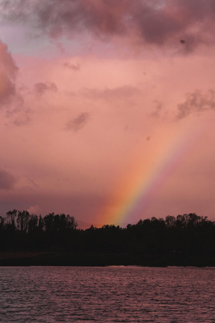 Silhouette Of Trees By The Lakeside Under A Rainbow 