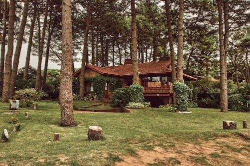 Brown Wooden House Surrounded by Trees