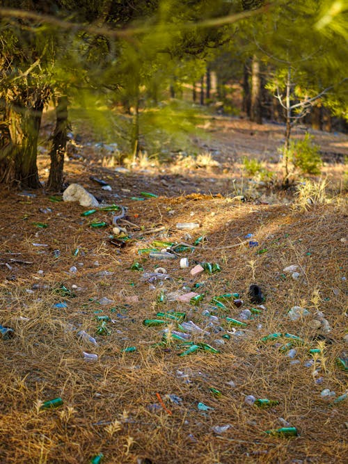 Photos gratuites de bouteilles en verre, champ brun, détritus