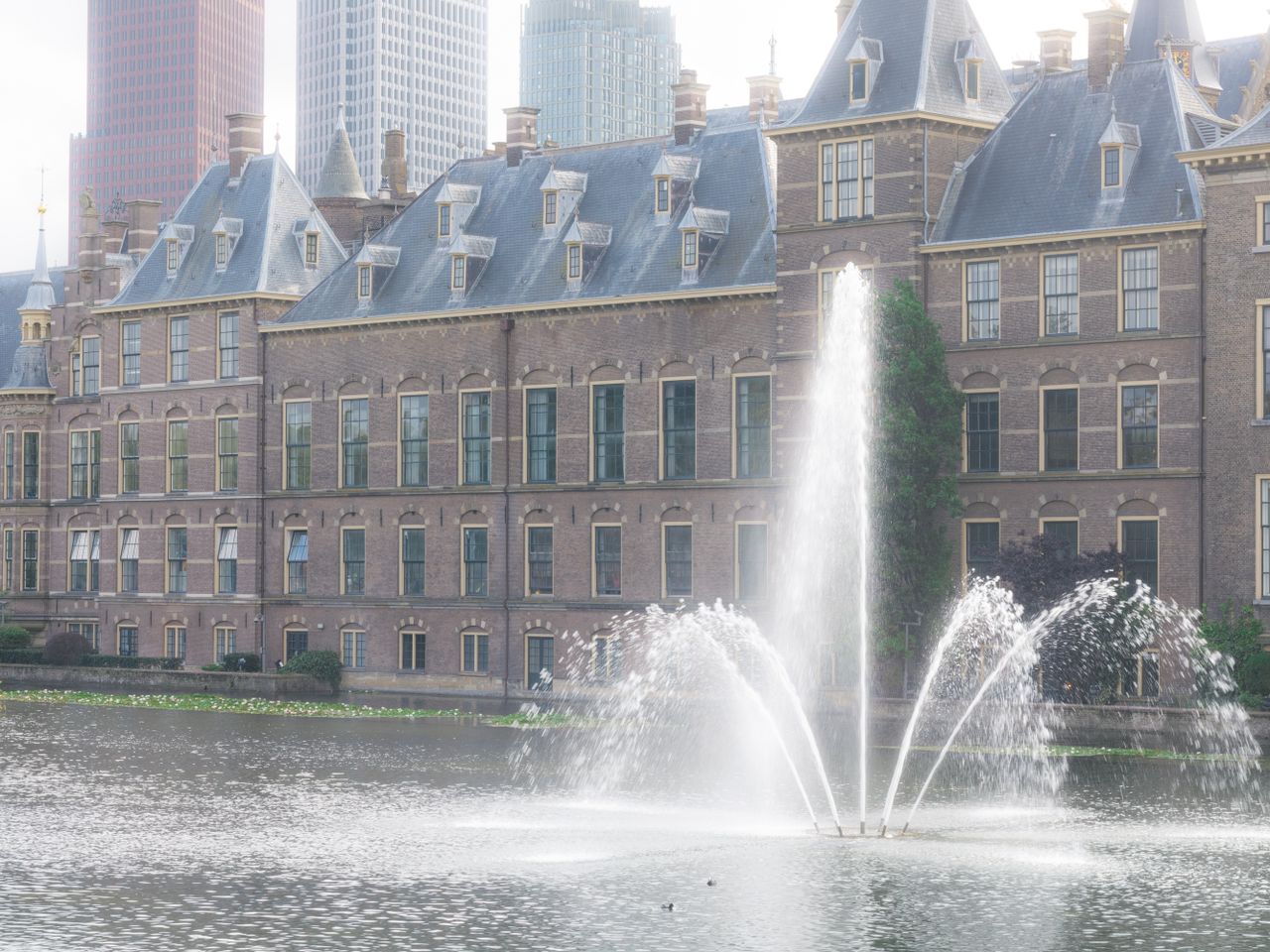 Den Haag, Hà Lan
