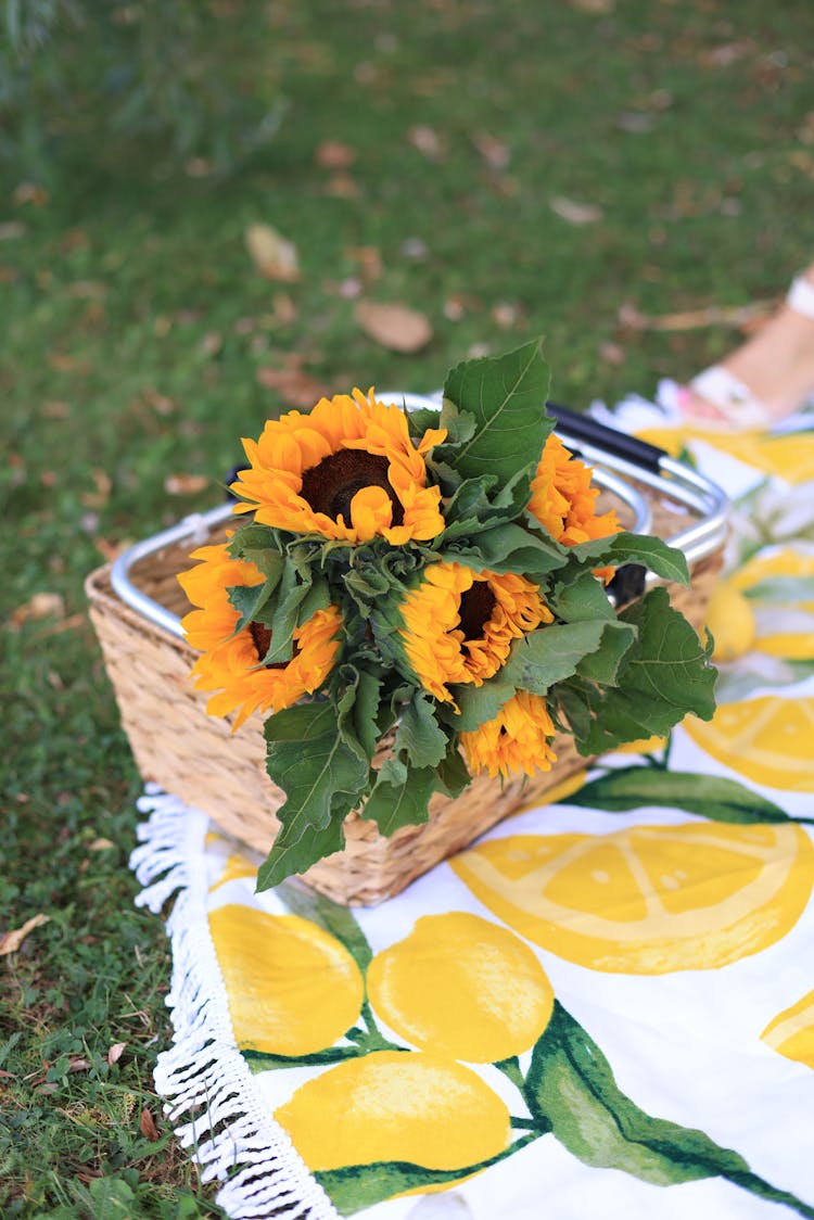 Sunflowers In Picnic Basket