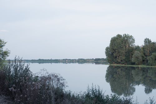 Free stock photo of lake, lake and trees, lake landscape