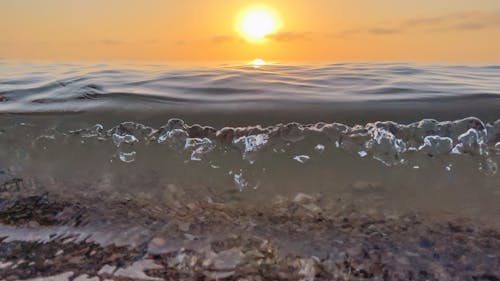 Free stock photo of early sunrise, half water half above water, sea sunrise