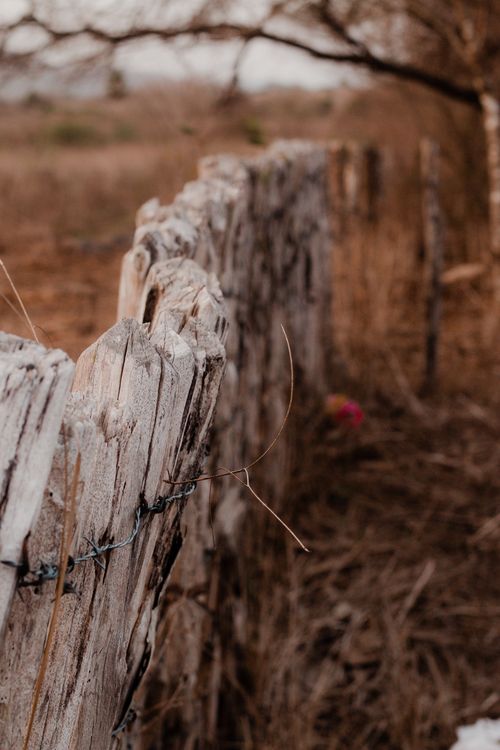 Free Weathered wooden fence in a rural field setting with dry vegetation and warm earthy tones. Stock Photo