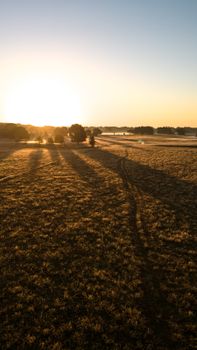 A serene view of the countryside at golden hour, with fields bathed in warm sunlight.