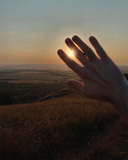 Photo of Person's Hand