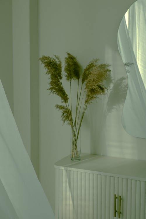 Free Pampas Grass in a Vase Next to a Mirror  Stock Photo