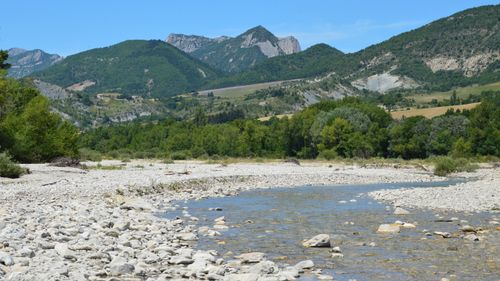 Free Peaceful mountain stream flowing through a picturesque valley with lush greenery. Stock Photo