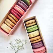Assorted macarons in a row — photo by Alisha Mishra on Pexels