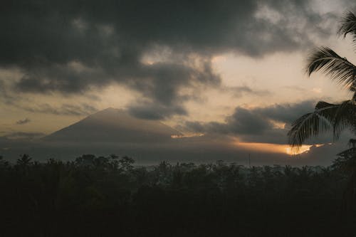 Silhouette of Trees and Mountain during Sunrise