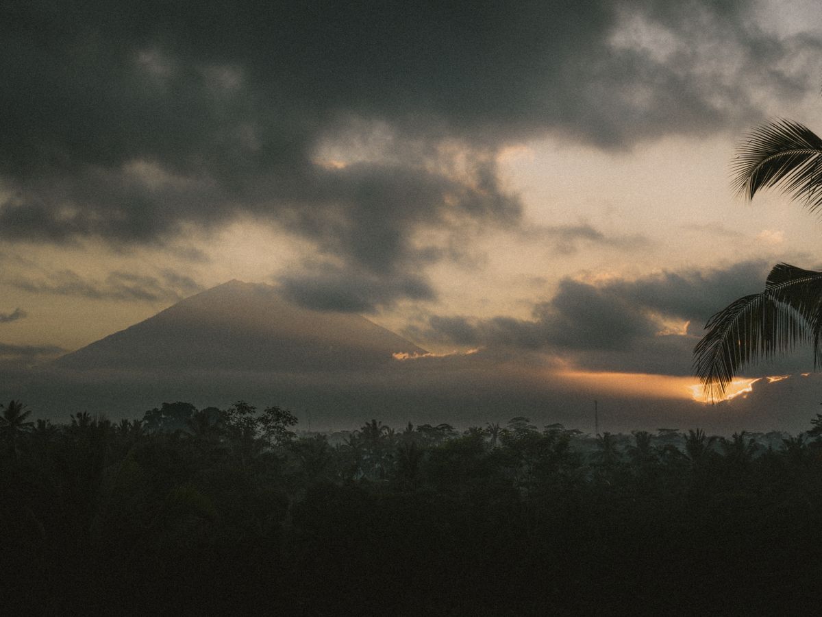 12 Day 100 Hour YTT Alignment, Sequencing & Yoga Therapy in Bali 3