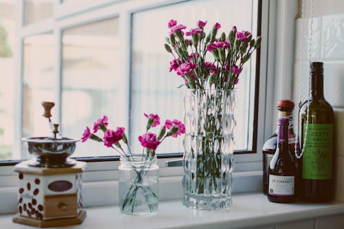 창 옆에 병 근처 화분에 심은 분홍색 꽃잎 꽃