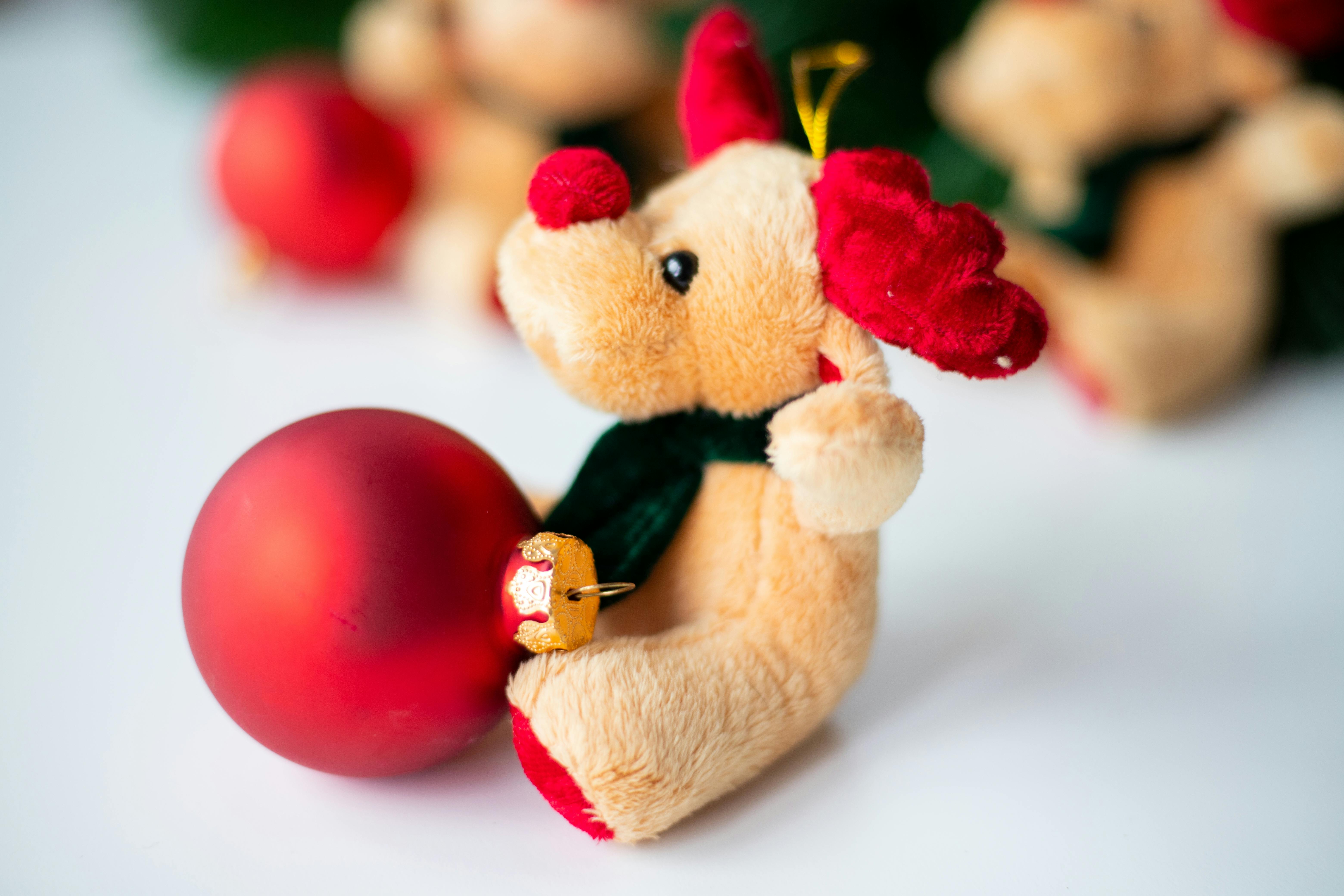 grátis Foto profissional grátis de #interior, acessórios, acolhedor Foto profissional