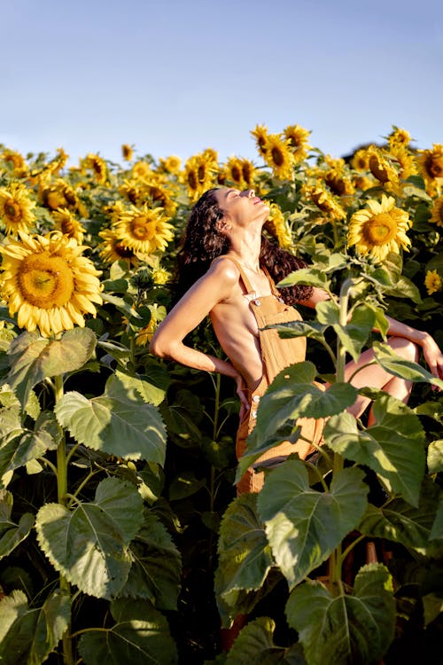 Foto stok gratis bidang, bunga matahari, fashion