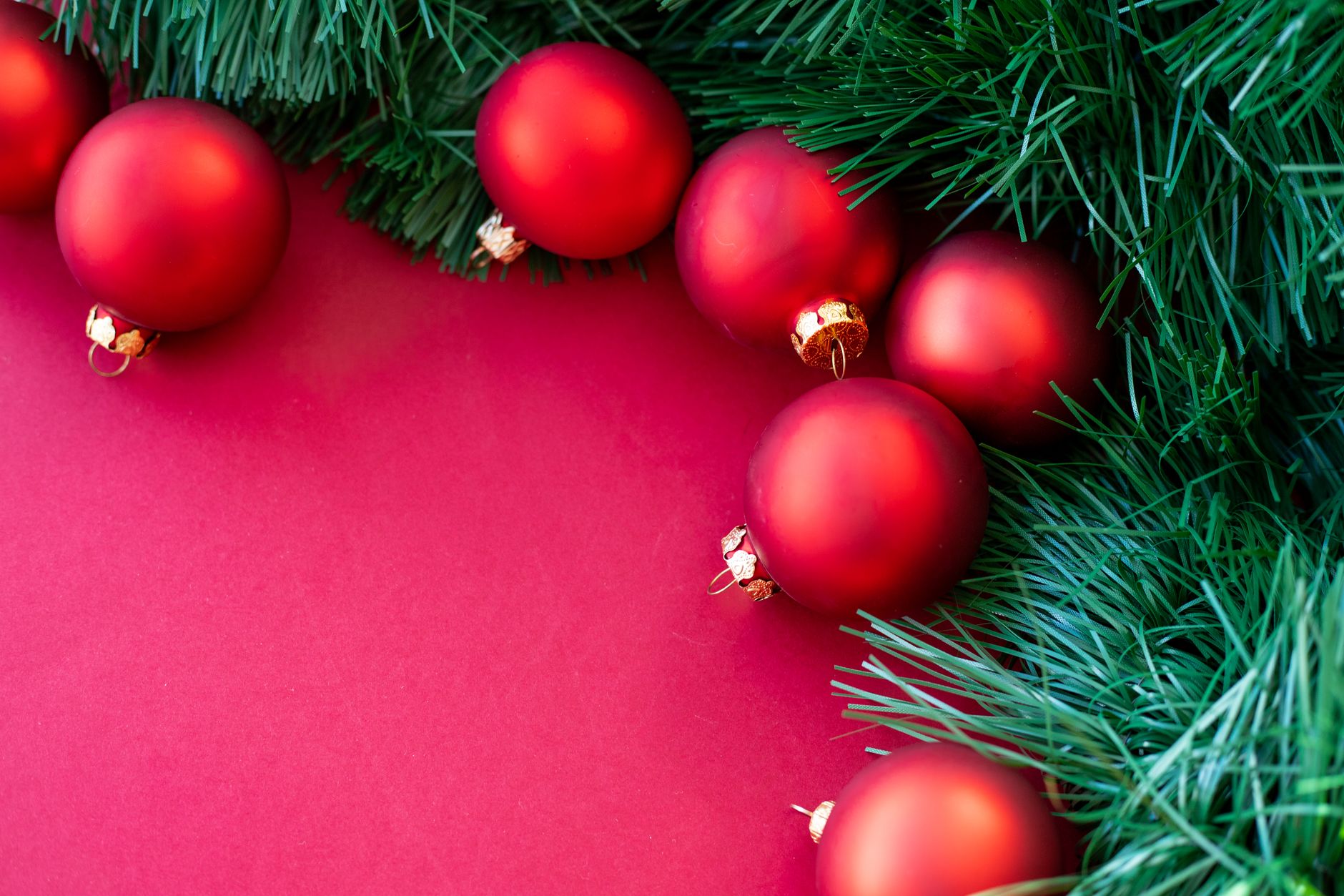 Bright red Christmas ornaments nestled among lush green pine leaves, perfect for festive decoration themes.