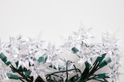 Close-up of Star Shaped Christmas Lights