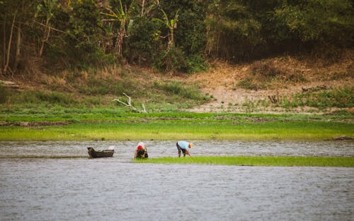 People Working on Rice Paddies in Valley