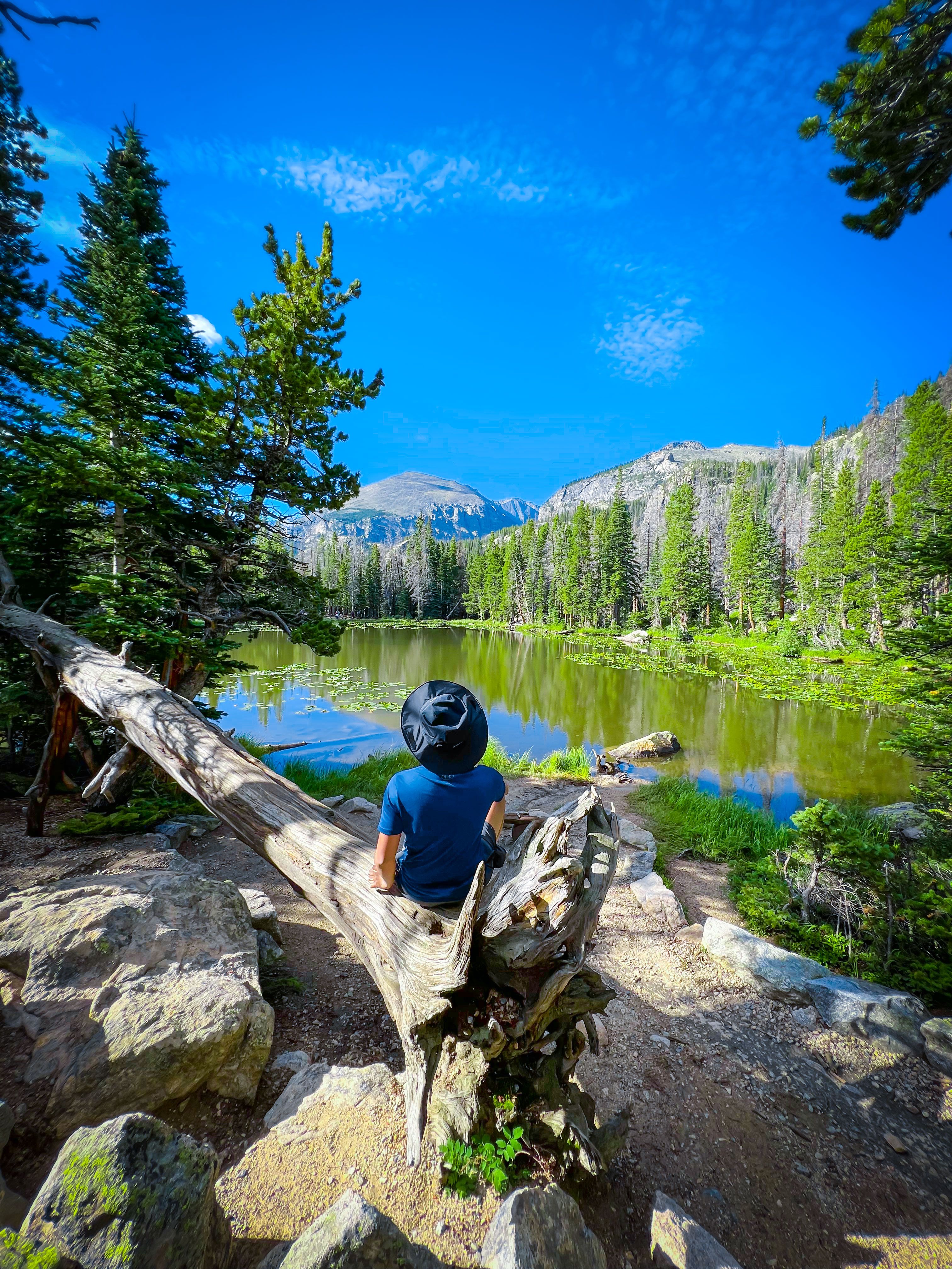 A person enjoys a serene mountain lake view surrounded by lush forest.