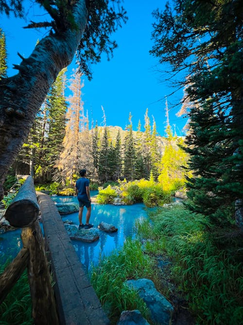 A Man Standing on Rock in the River