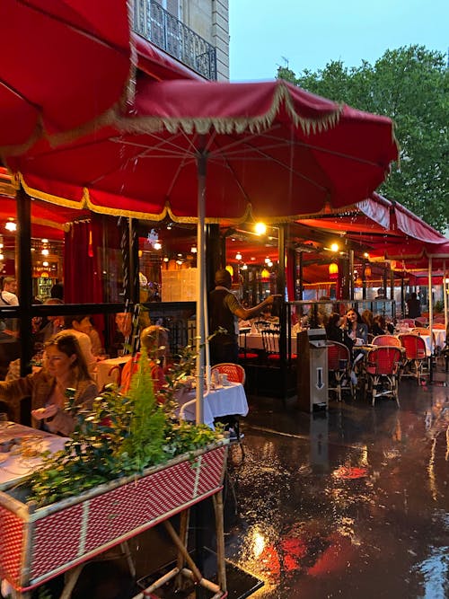 Free stock photo of paris, rain, summer Stock Photo